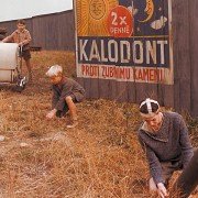 Obecná škola - galeria zdjęć - filmweb