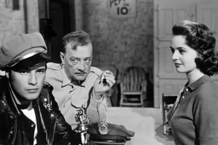 Dziki - galeria zdjęć - filmweb