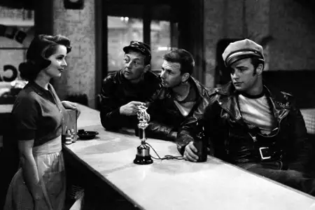 Dziki - galeria zdjęć - filmweb