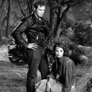 The Wild One - galeria zdjęć - filmweb
