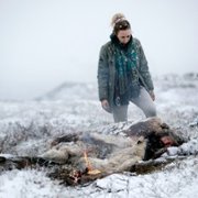 Witamy na odludziu - galeria zdjęć - filmweb