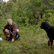 Witamy na odludziu - galeria zdjęć - filmweb