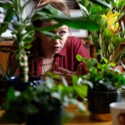 Witamy na odludziu - galeria zdjęć - filmweb