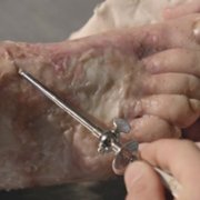Hospital Real - galeria zdjęć - filmweb
