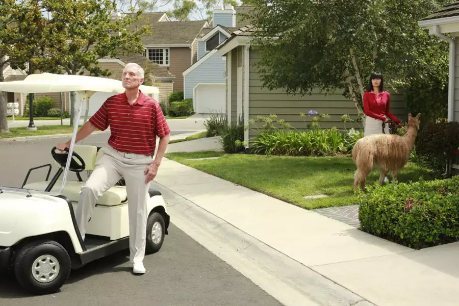 The Neighbors - galeria zdjęć - filmweb