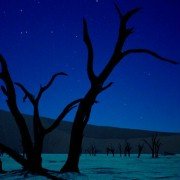 Samsara - galeria zdjęć - filmweb