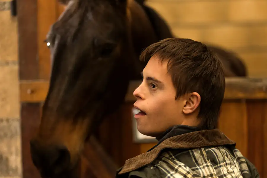 Blizna - galeria zdjęć - filmweb