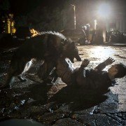 The Last Panthers - galeria zdjęć - filmweb