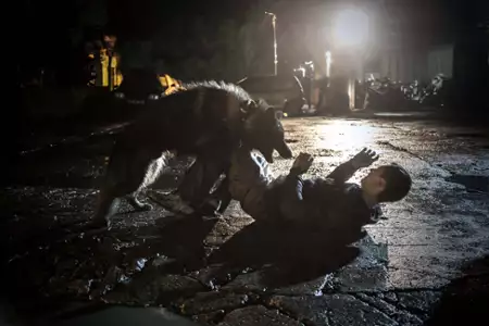 The Last Panthers: Złodzieje diamentów - galeria zdjęć - filmweb
