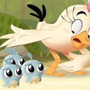 Angry Birds: Summer Madness - galeria zdjęć - filmweb