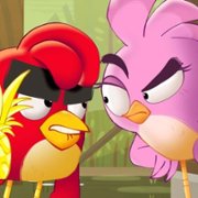 Angry Birds: Summer Madness - galeria zdjęć - filmweb