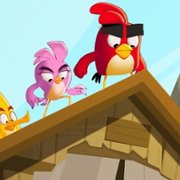 Angry Birds: Summer Madness - galeria zdjęć - filmweb
