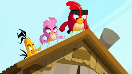 Angry Birds: Letnie szaleństwo - galeria zdjęć - filmweb