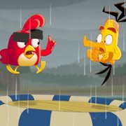 Angry Birds: Letnie szaleństwo - galeria zdjęć - filmweb