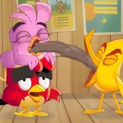 Angry Birds: Summer Madness - galeria zdjęć - filmweb