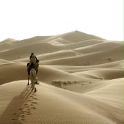 Niebo nad Saharą - galeria zdjęć - filmweb