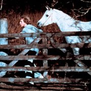 Equus - galeria zdjęć - filmweb