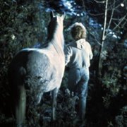 Equus - galeria zdjęć - filmweb