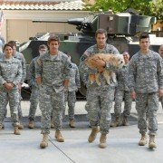 Enlisted - galeria zdjęć - filmweb