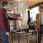 Brooklyn Nine-Nine - galeria zdjęć - filmweb