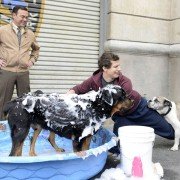 Brooklyn Nine-Nine - galeria zdjęć - filmweb