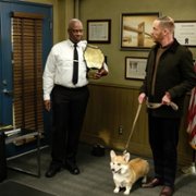 Brooklyn Nine-Nine - galeria zdjęć - filmweb