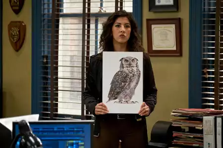 Brooklyn 9-9 - galeria zdjęć - filmweb