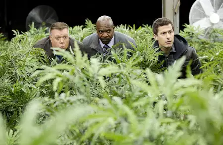 Brooklyn 9-9 - galeria zdjęć - filmweb