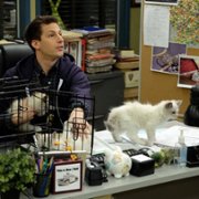 Brooklyn Nine-Nine - galeria zdjęć - filmweb