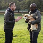 Brooklyn Nine-Nine - galeria zdjęć - filmweb