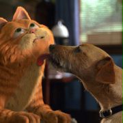 Bill Murray w Garfield