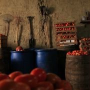 Salvando al Soldado Pérez - galeria zdjęć - filmweb