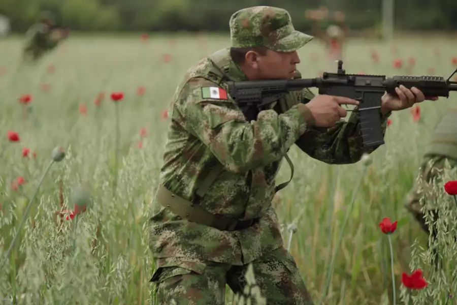 El Chapo - galeria zdjęć - filmweb