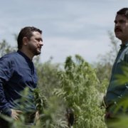 El Chapo - galeria zdjęć - filmweb