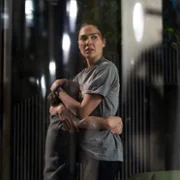 The Runner - galeria zdjęć - filmweb
