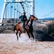 The Electric Horseman - galeria zdjęć - filmweb
