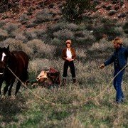 The Electric Horseman - galeria zdjęć - filmweb