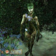The Elder Scrolls IV: Knights of the Nine - galeria zdjęć - filmweb
