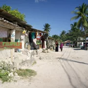 Król Zanzibaru - galeria zdjęć - filmweb