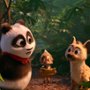 Panda i afrykańska banda - galeria zdjęć