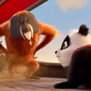 Pandabeer in Afrika - galeria zdjęć - filmweb