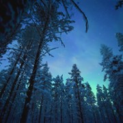 Ziemia w nocnych barwach - galeria zdjęć - filmweb