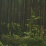 Król Maciuś Pierwszy - galeria zdjęć