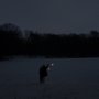 Król Maciuś Pierwszy - galeria zdjęć
