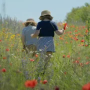 Król Maciuś Pierwszy - galeria zdjęć - filmweb
