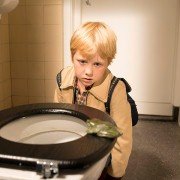 Meester Kikker - galeria zdjęć - filmweb