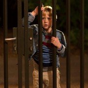 Pan Żaba - galeria zdjęć - filmweb
