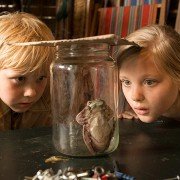 Meester Kikker - galeria zdjęć - filmweb