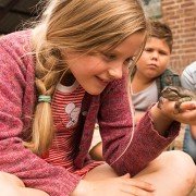 Meester Kikker - galeria zdjęć - filmweb