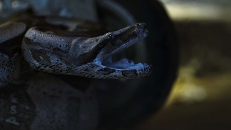 Sezon 2 Odcinek 3 Rozdział trzeci: Ślepy zaułek